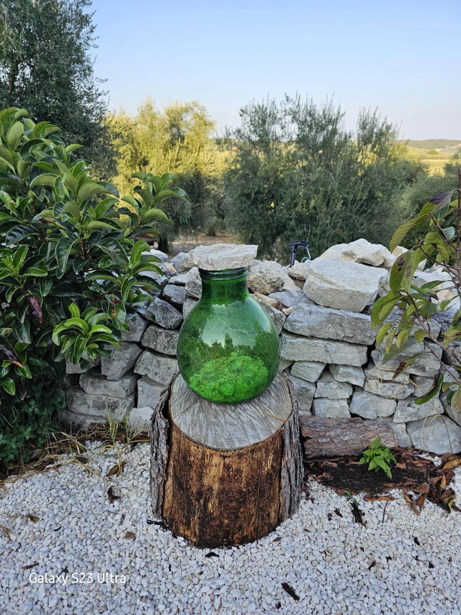Azienda Agricola Gentile - La Casa Degli Ulivi Vieste Exteriör bild